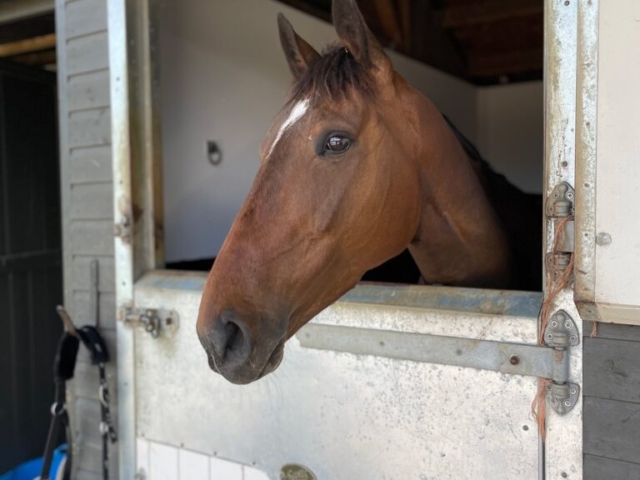 Billy Aprahamian Racing Horse Stables